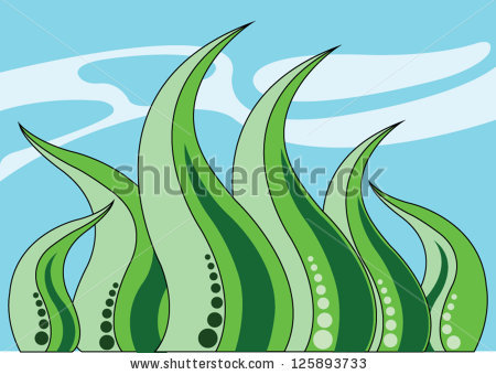 Showing post & media for Green algae cartoon.