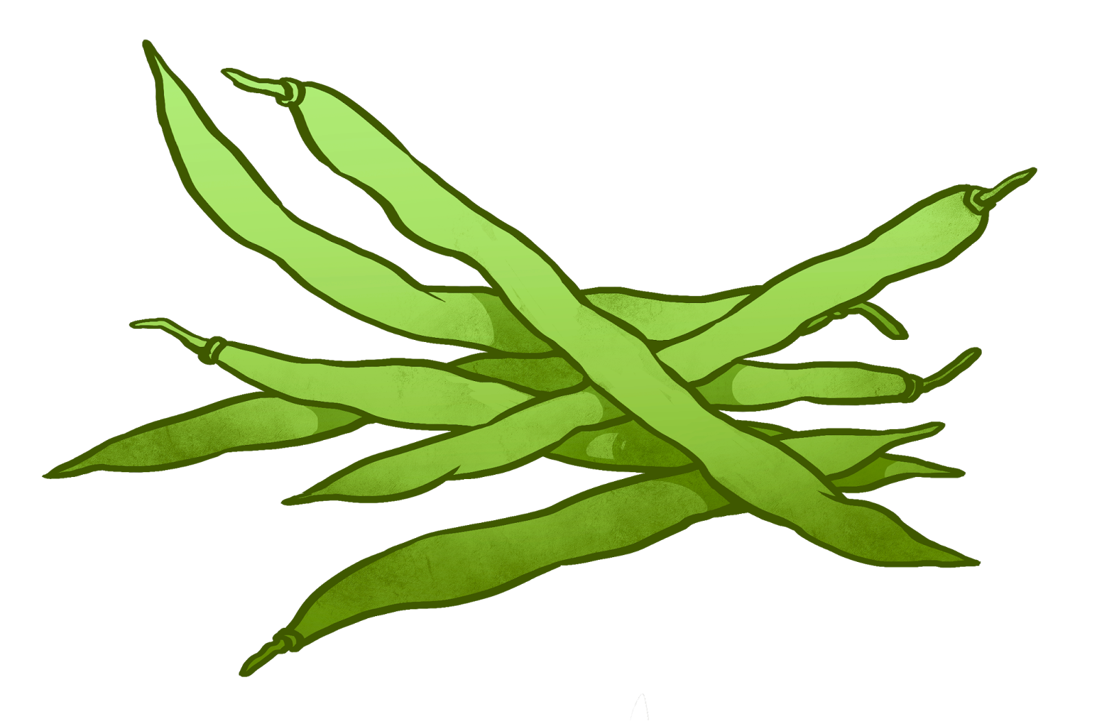 Green beans clipart 20 free Cliparts | Download images on Clipground 2022