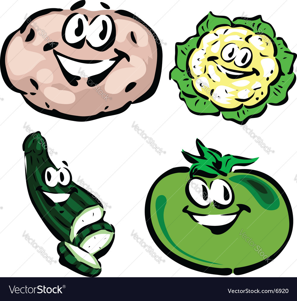 Potato cauliflower zucchini green tomato Royalty Free Vector Image.