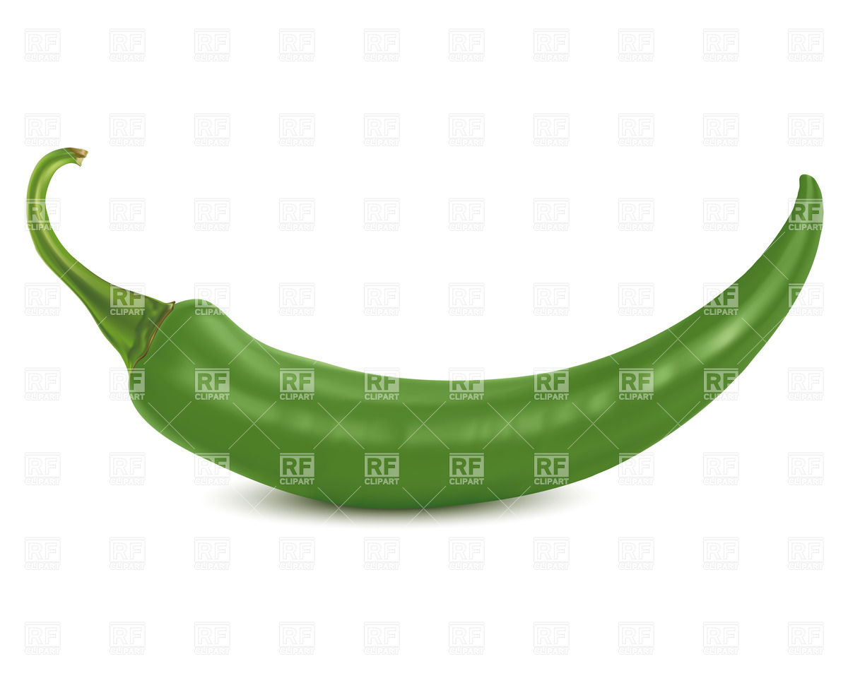 Green chilli pepper Stock Vector Image.