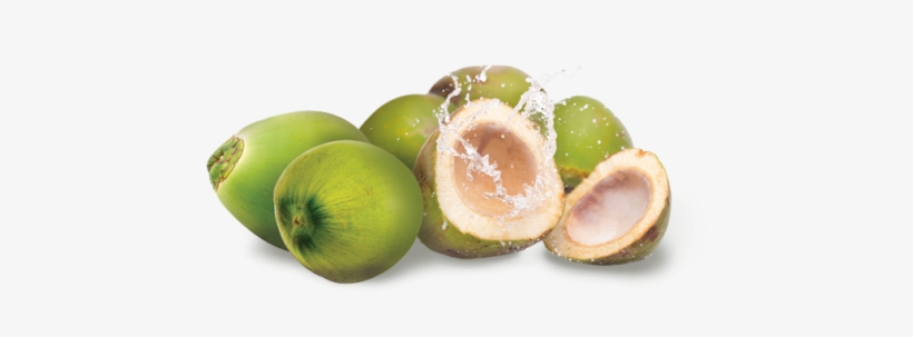 Green Coconut Png.