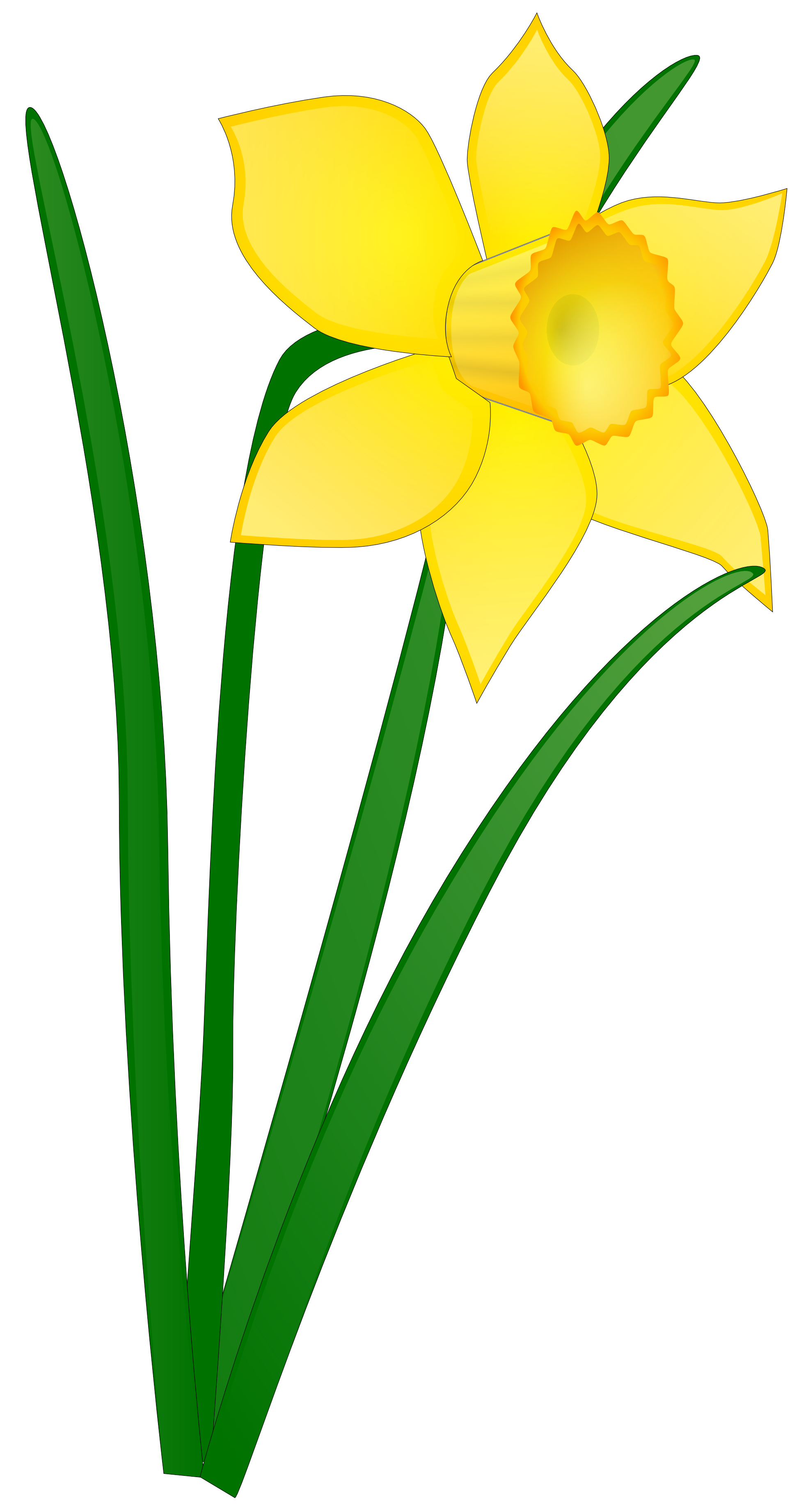 Daffodil flower clip art.