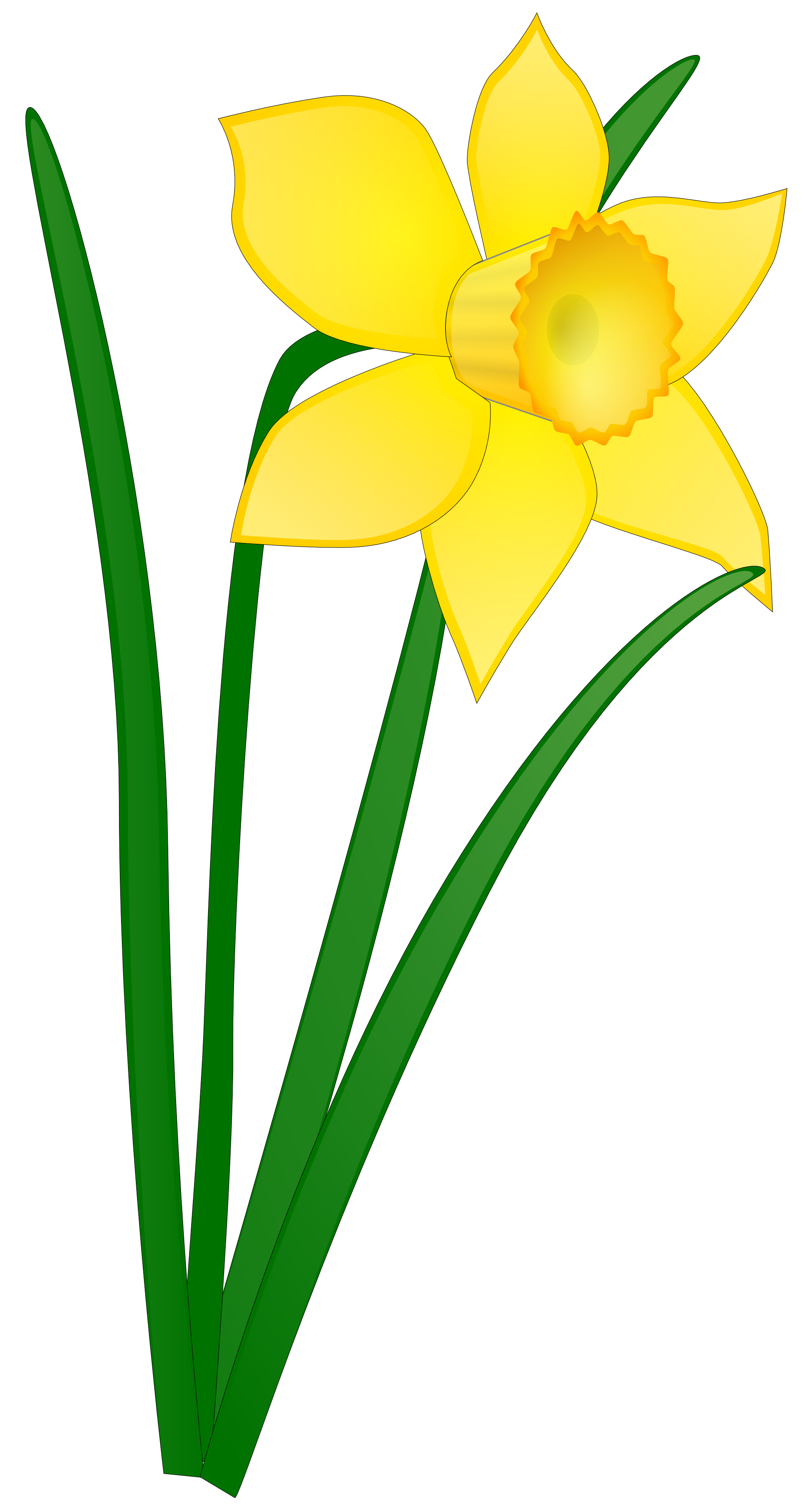 Green daffodil clipart 20 free Cliparts | Download images on Clipground