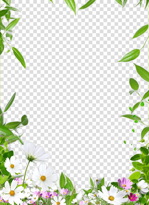 Green Flower Border Clipart 10 Free Cliparts Download Images On 5995