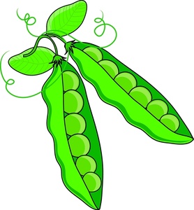 Green food clipart.