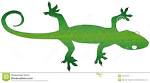 Green gecko clipart.