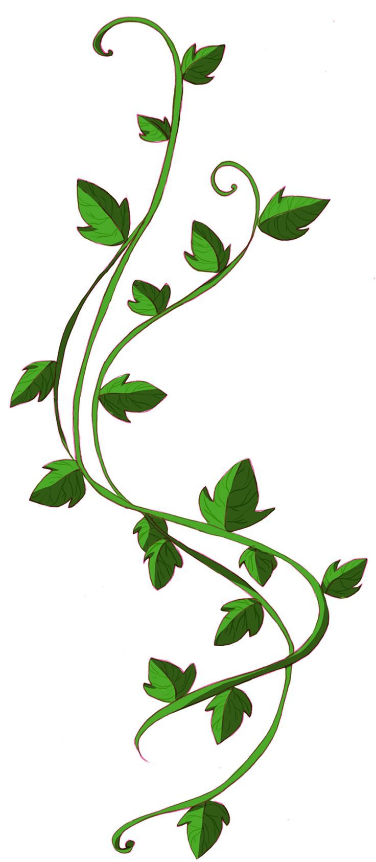 Green Ivy Clip Art Free Cliparts Download Images On Clipground