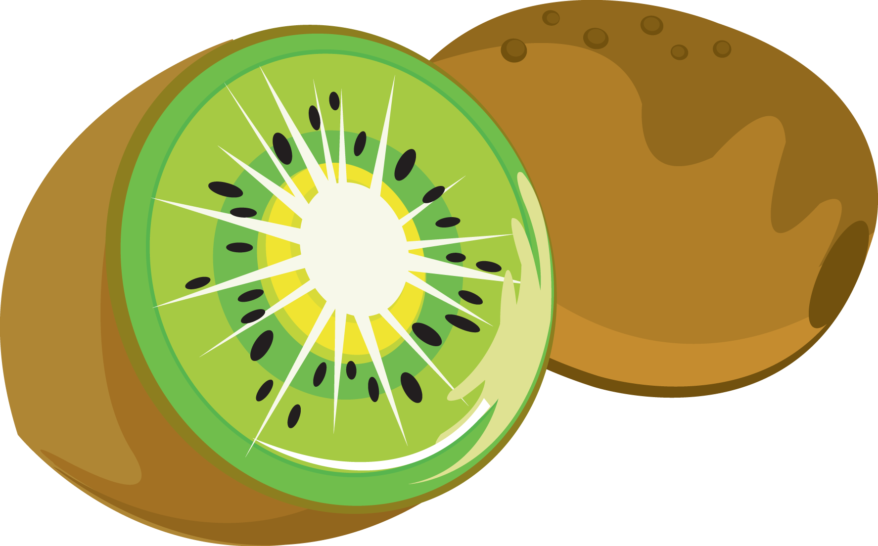 Green kiwi clipart - Clipground