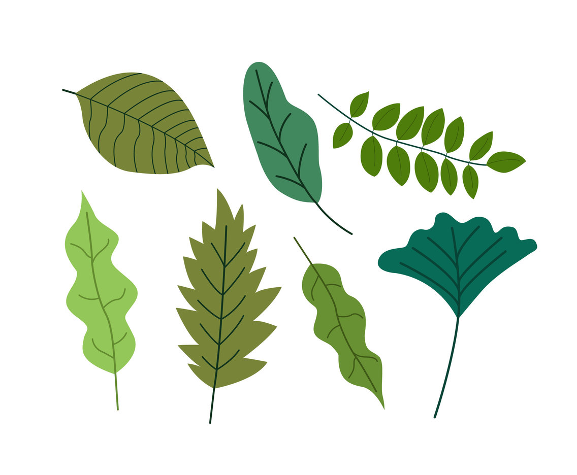 Flat Green Leaves Clipart Vector Vector Art & Graphics.