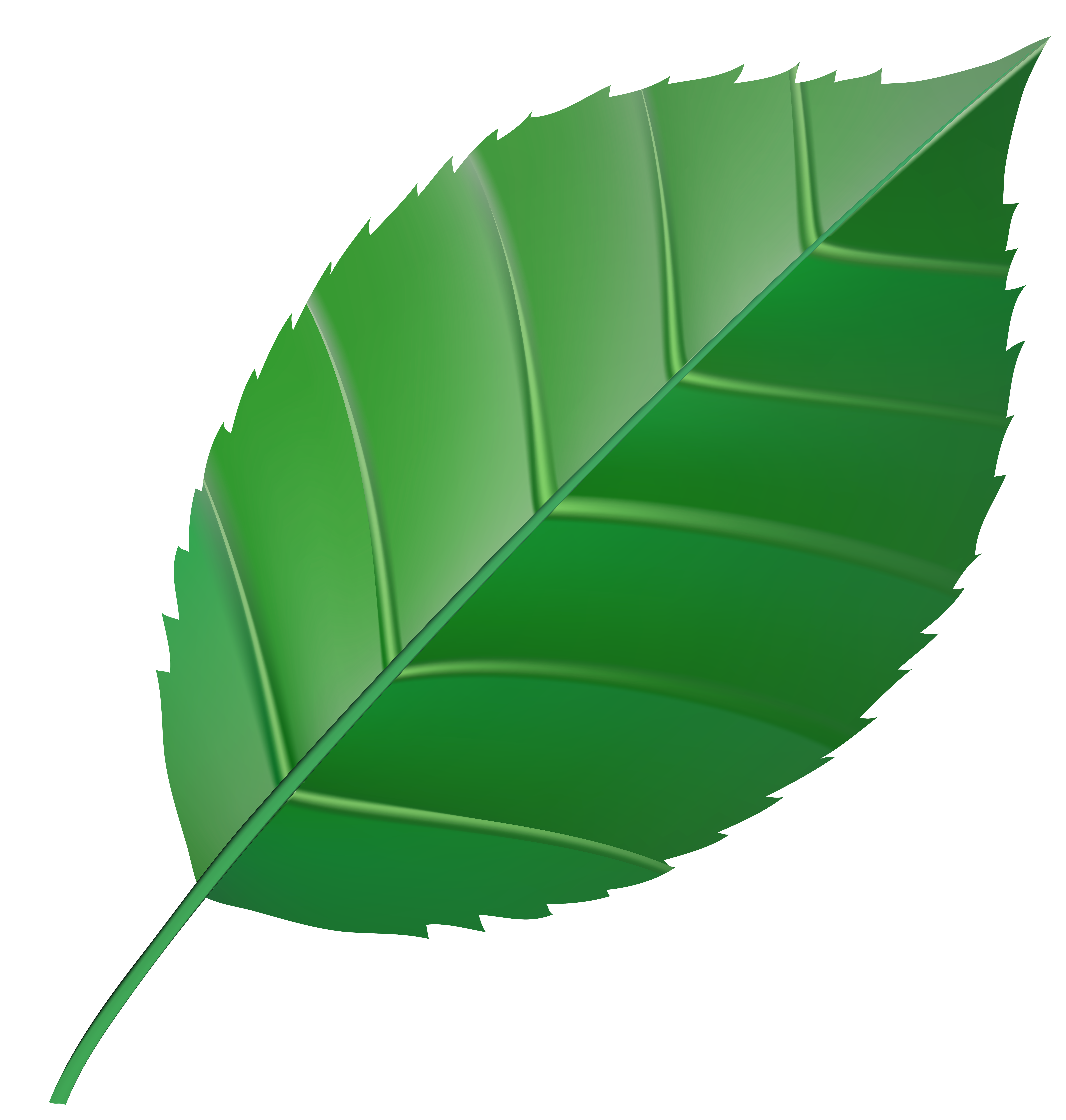 Green Leaf Clip Art.