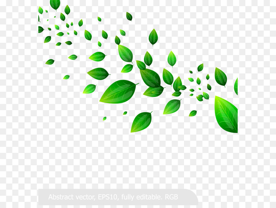Green Grass Background png download.