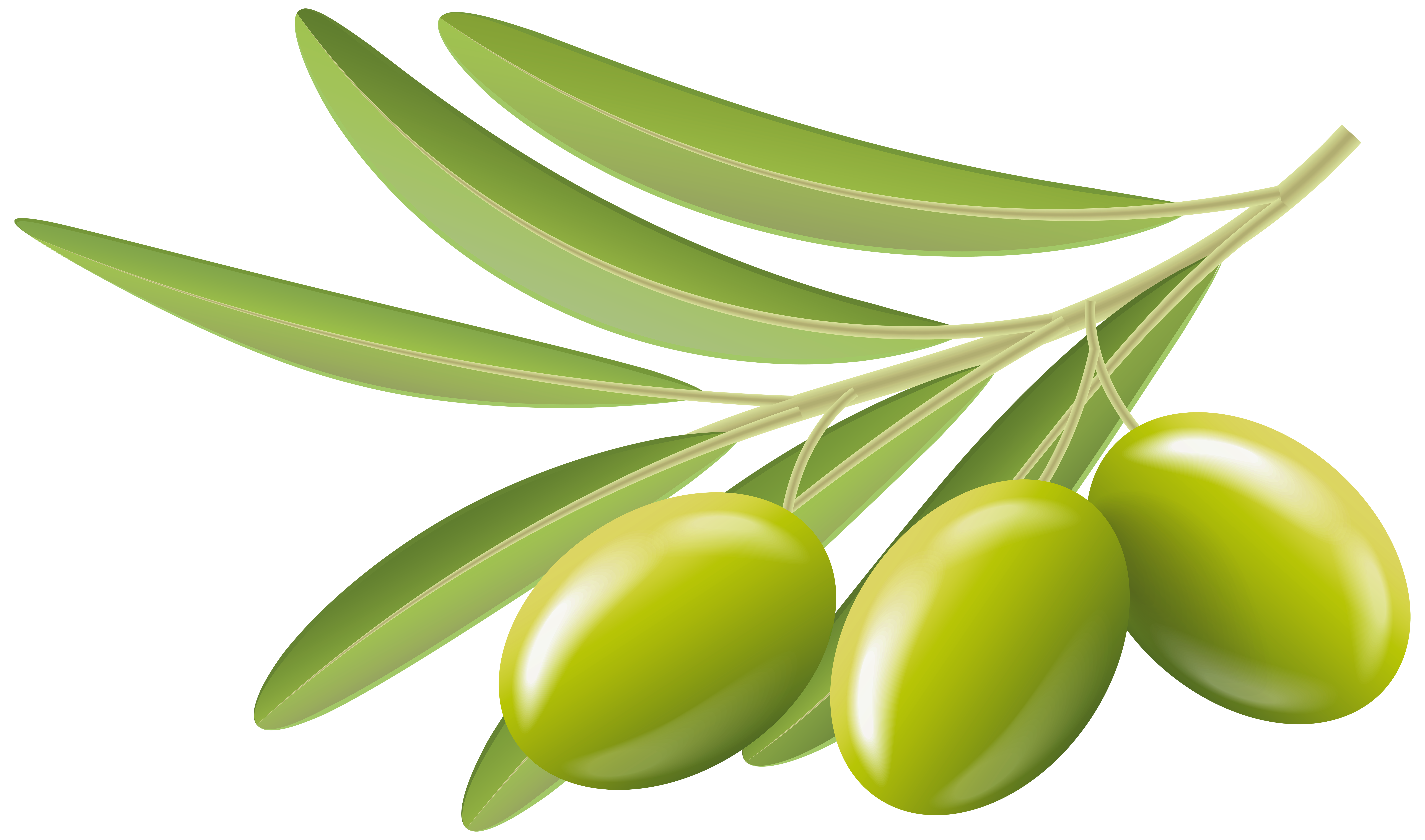 Green Olives Transparent Clip Art Image.