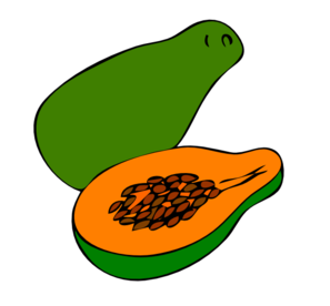 Papaya clip art.