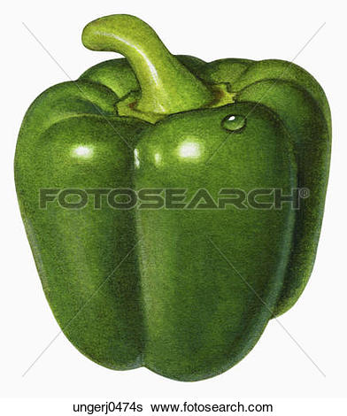 Clip Art of An illustration of a green pepper szo0552.