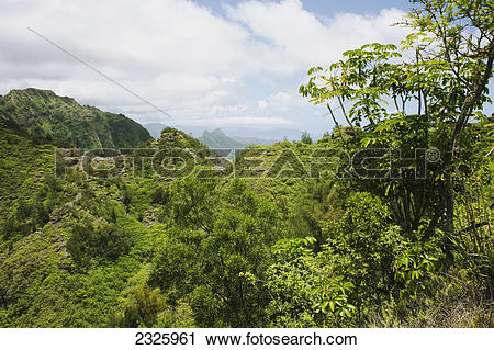 Stock Photography of Hawaii, Oahu, Ko'olau Mountains, Lush green.