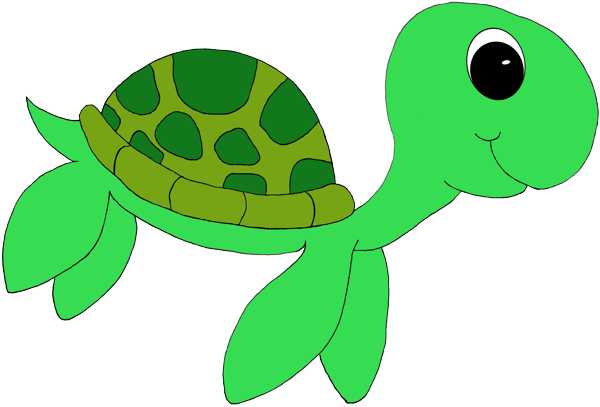 Cartoon Sea Turtle Clipart.
