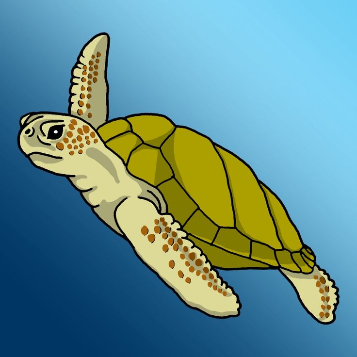 Loggerhead Sea Turtle Clipart.