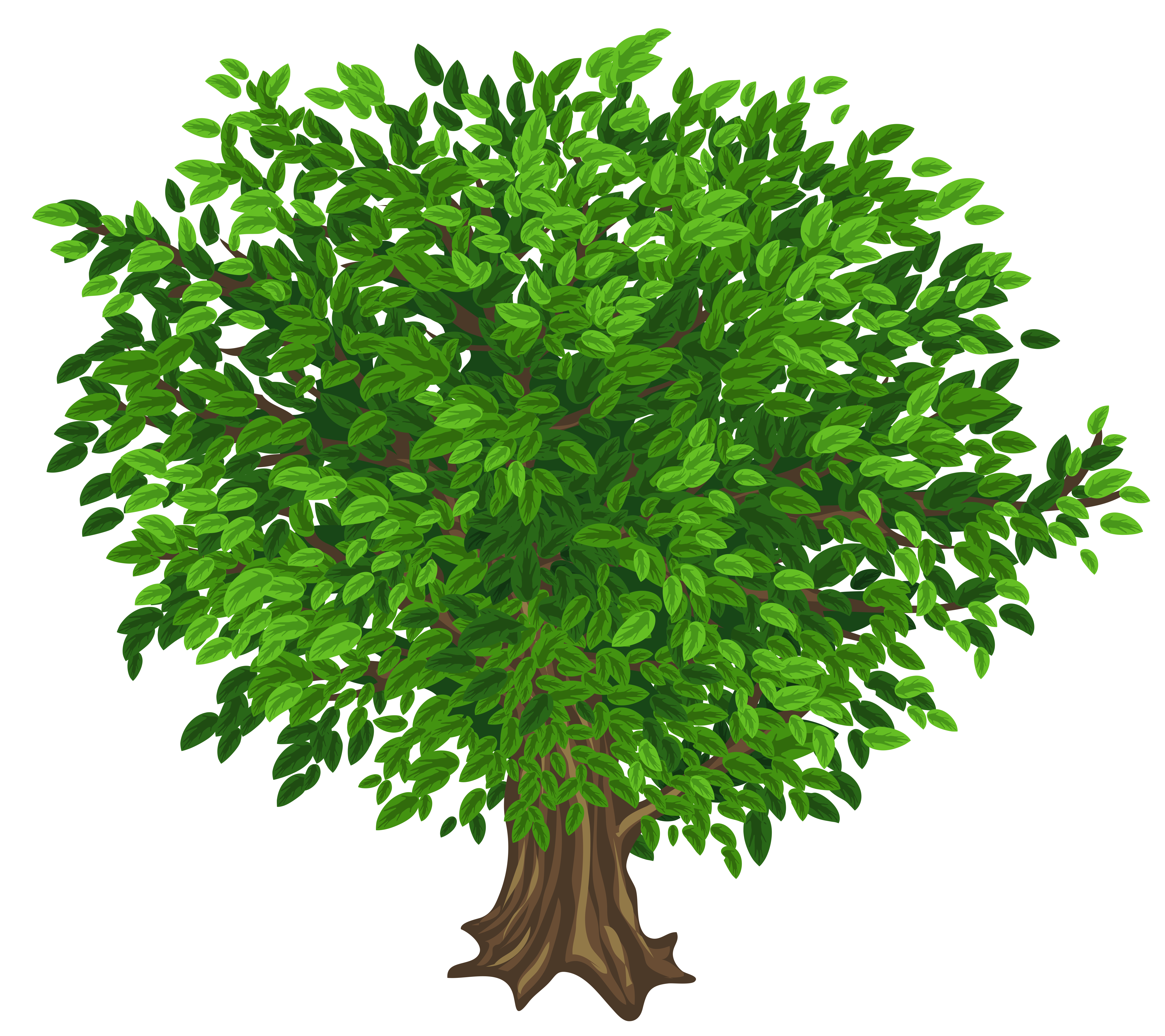 Green tree clipart 20 free Cliparts | Download images on Clipground 2022