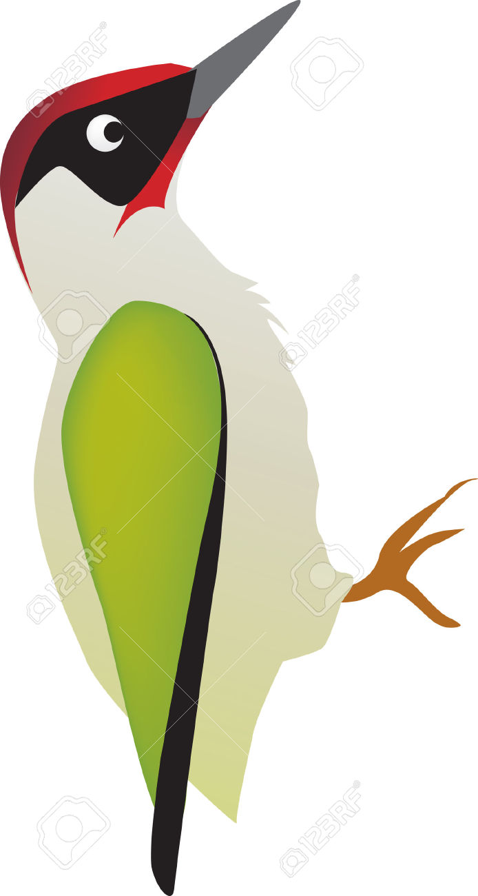 Woodpecker Clipart.
