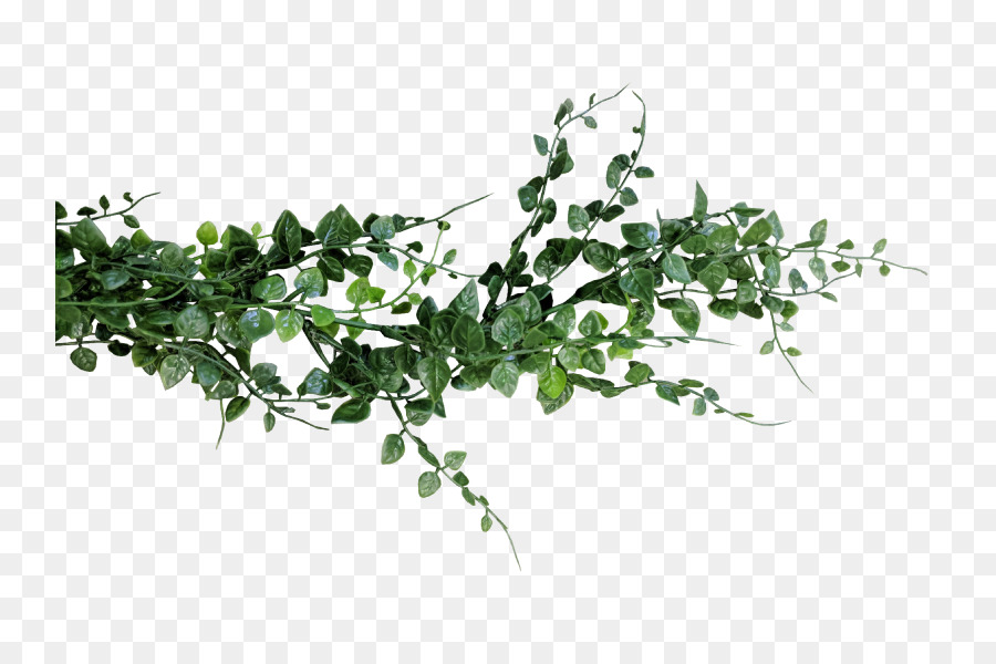 greenery garland clipart 10 free Cliparts | Download images on ...