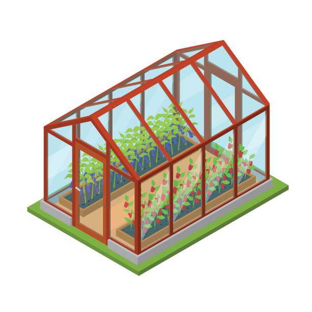 greenhouse clip art 10 free Cliparts Download images on Clipground 2024