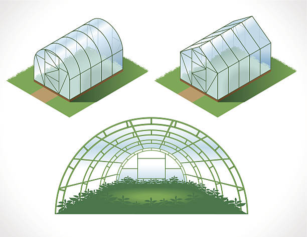 Best Greenhouse Illustrations, Royalty.