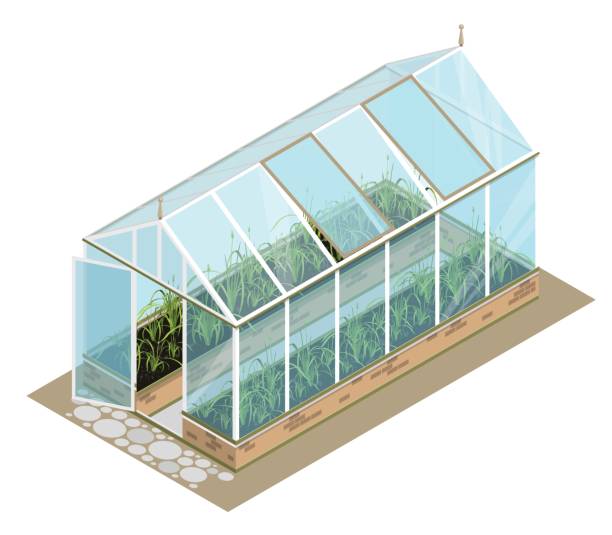 greenhouse clip art 10 free Cliparts Download images on Clipground 2024