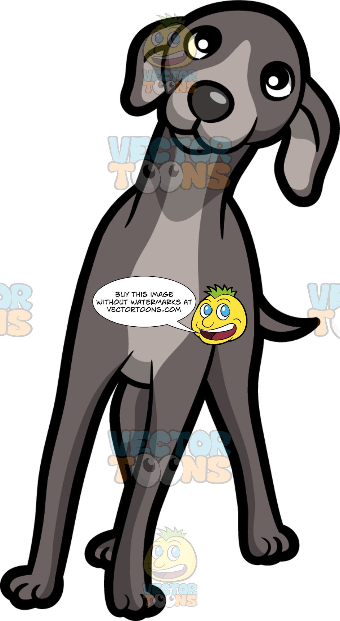 greyhound cartoon clipart 10 free Cliparts | Download images on