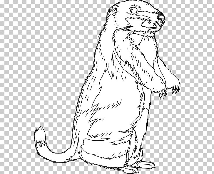 The Groundhog Groundhog Day Open PNG, Clipart, Artwork, Beaver.