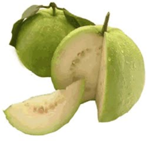 Guava Clipart.