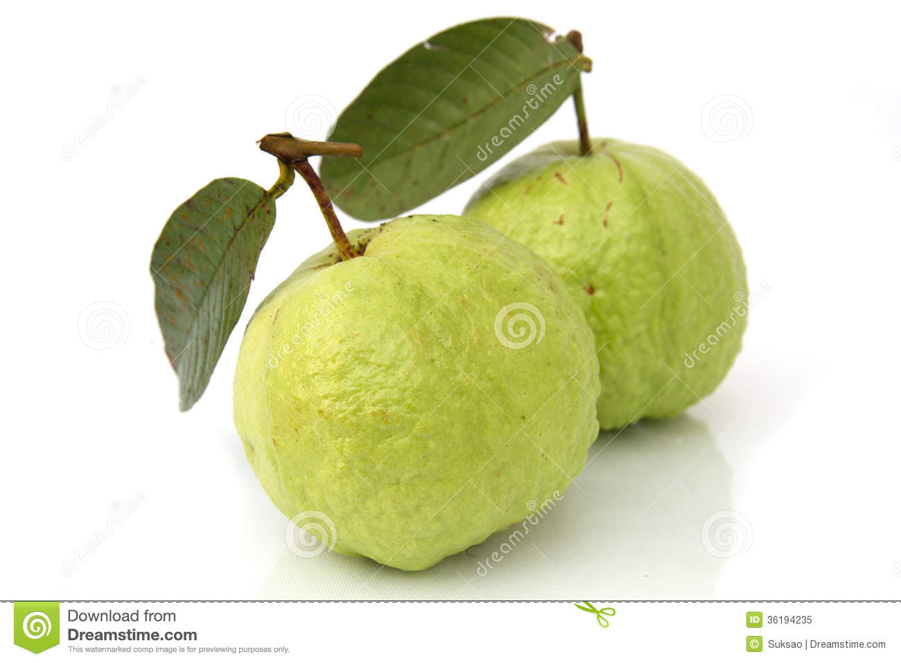 Green Guava Clipart.