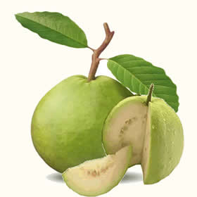 Guava Clipart.