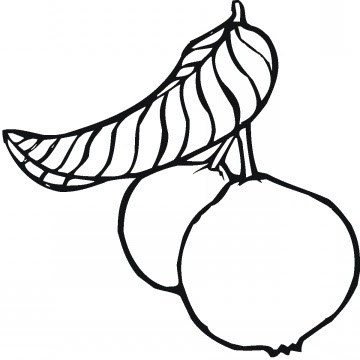 Guava clipart black and white 2 » Clipart Portal.