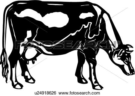 Clip Art of , animal, breeds, cattle, cow, farm, guernsey.