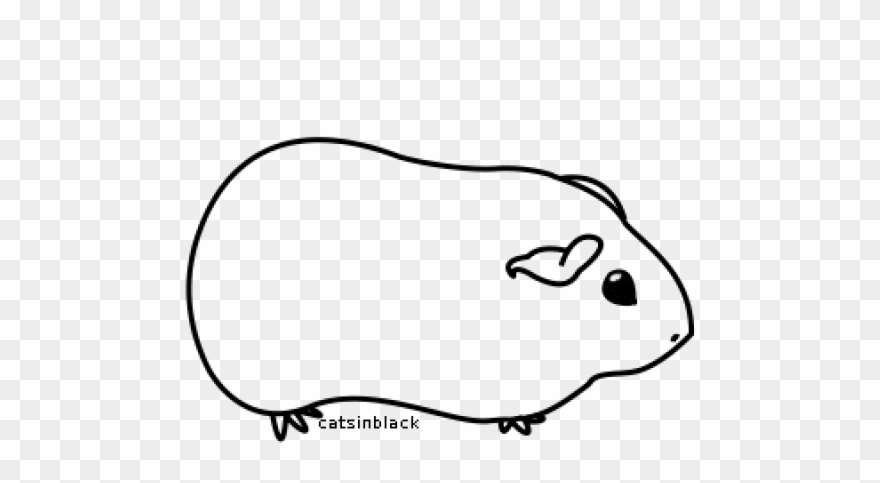 Guinea Pig Clipart Black And White.