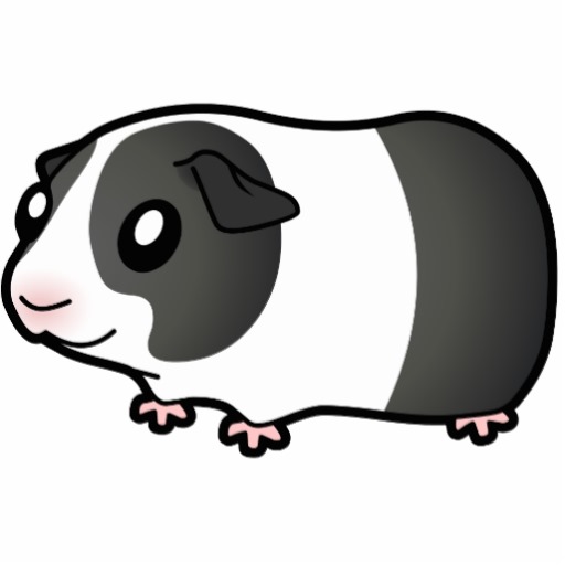 Free Cartoon Guinea Pigs, Download Free Clip Art, Free Clip.