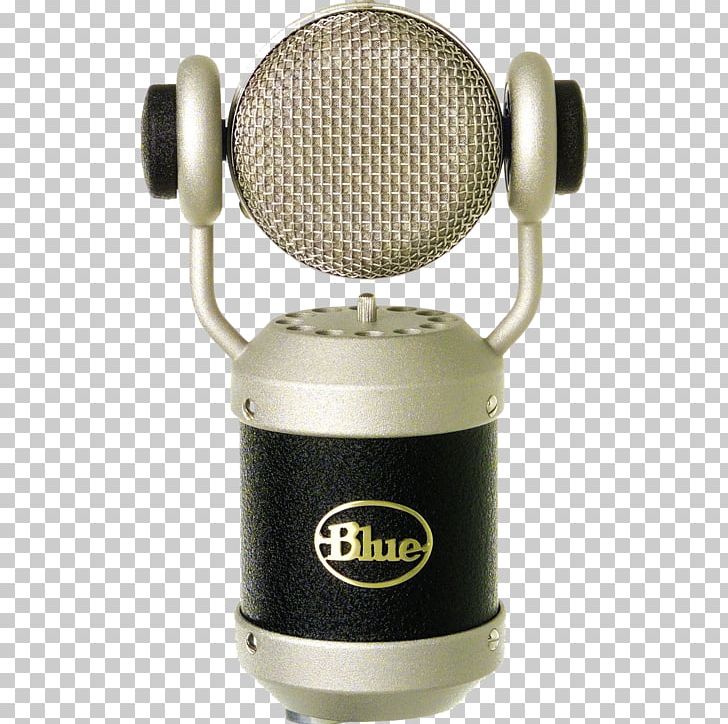 Blue Microphones Recording Studio Guitar Center Diaphragm.