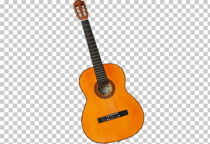 Acoustic guitar Tiple Cuatro Cavaquinho, Guitarra electrica.