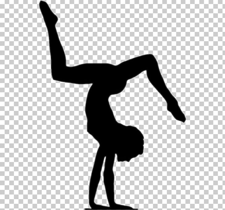 Download gymnastics floor clipart 10 free Cliparts | Download images on Clipground 2021