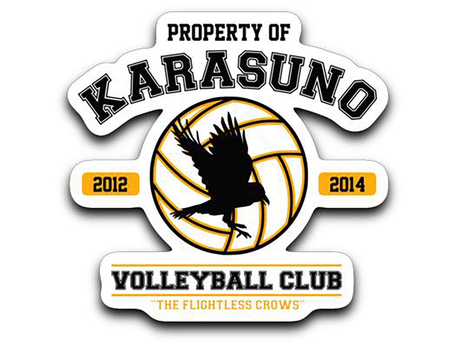 Amazon.com: Threads Basket Property of Karasuno Volleyball.