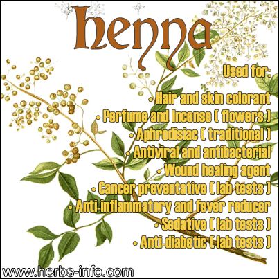 1000+ images about Groovy Herbs on Pinterest.