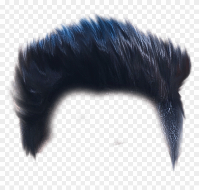 hair png file 10 free Cliparts | Download images on Clipground 2023
