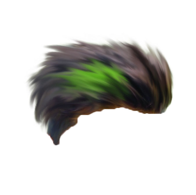 Free collection of Hair png. Download transparent clip arts on.