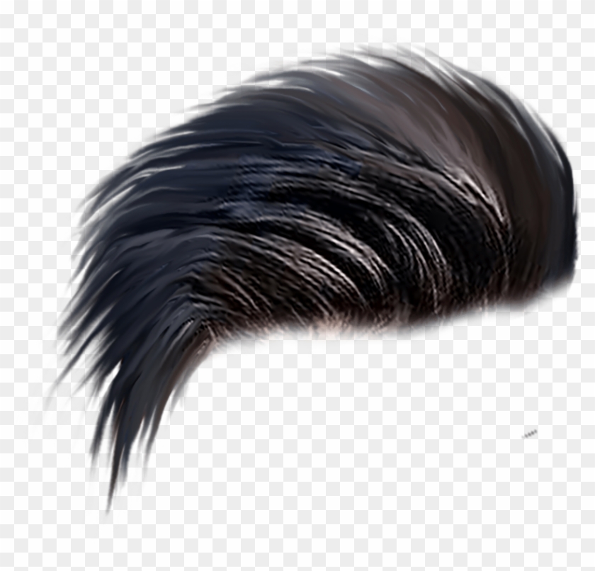 hair png man 10 free Cliparts | Download images on Clipground 2021