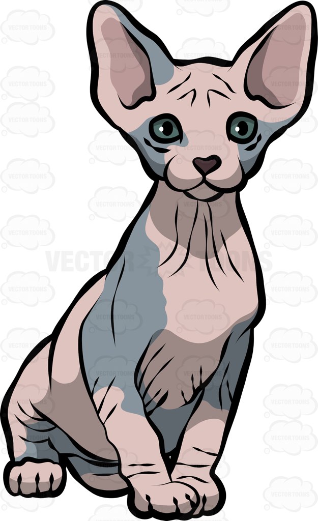Hairless clipart 20 free Cliparts | Download images on Clipground 2023