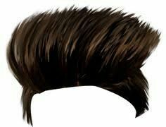 103 Best Hair png images.