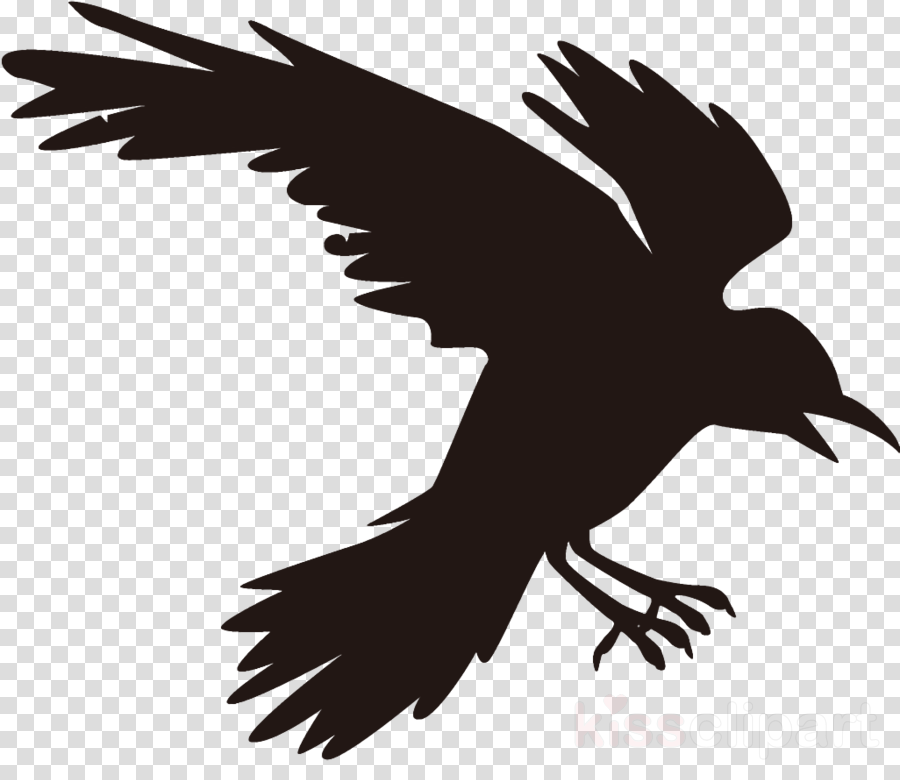 raven halloween crow clipart.