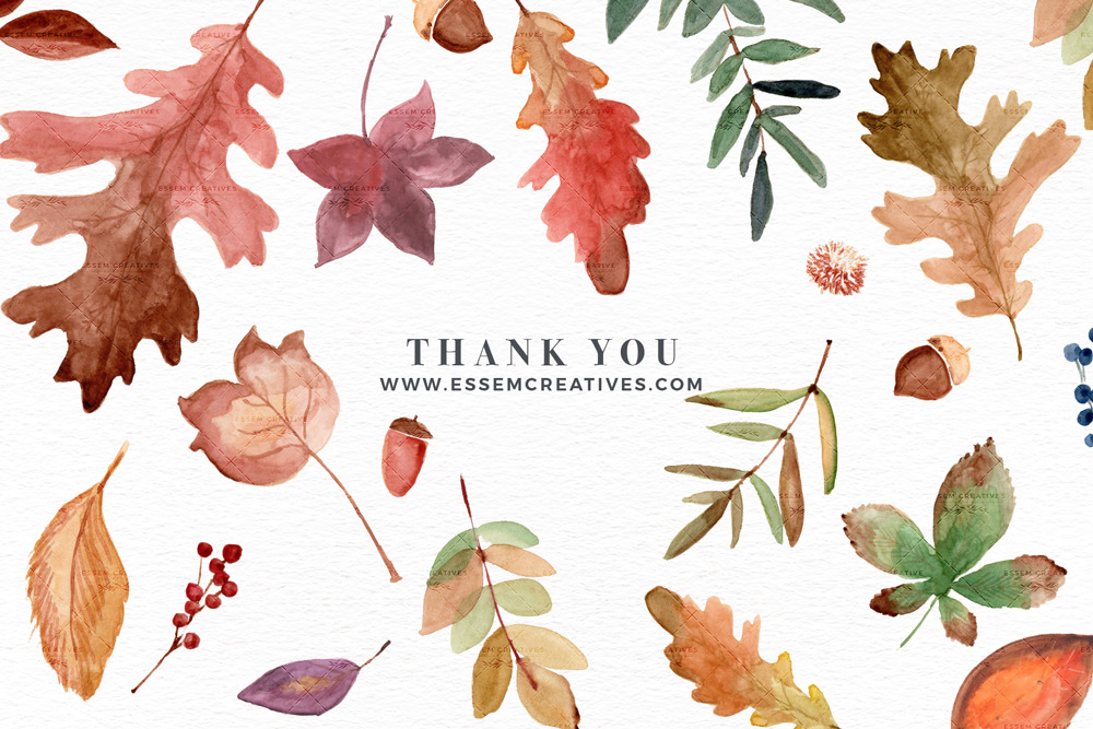 Watercolor Fall Leaves Clipart, Thanksgiving Fall Wedding Bridal Shower  Invitation Graphic with Transparent Background.