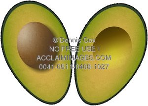 Clipart Stock Illustration: Halved Avocado.