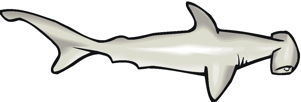 Free Free 96 Clipart Hammerhead Shark Svg SVG PNG EPS DXF File